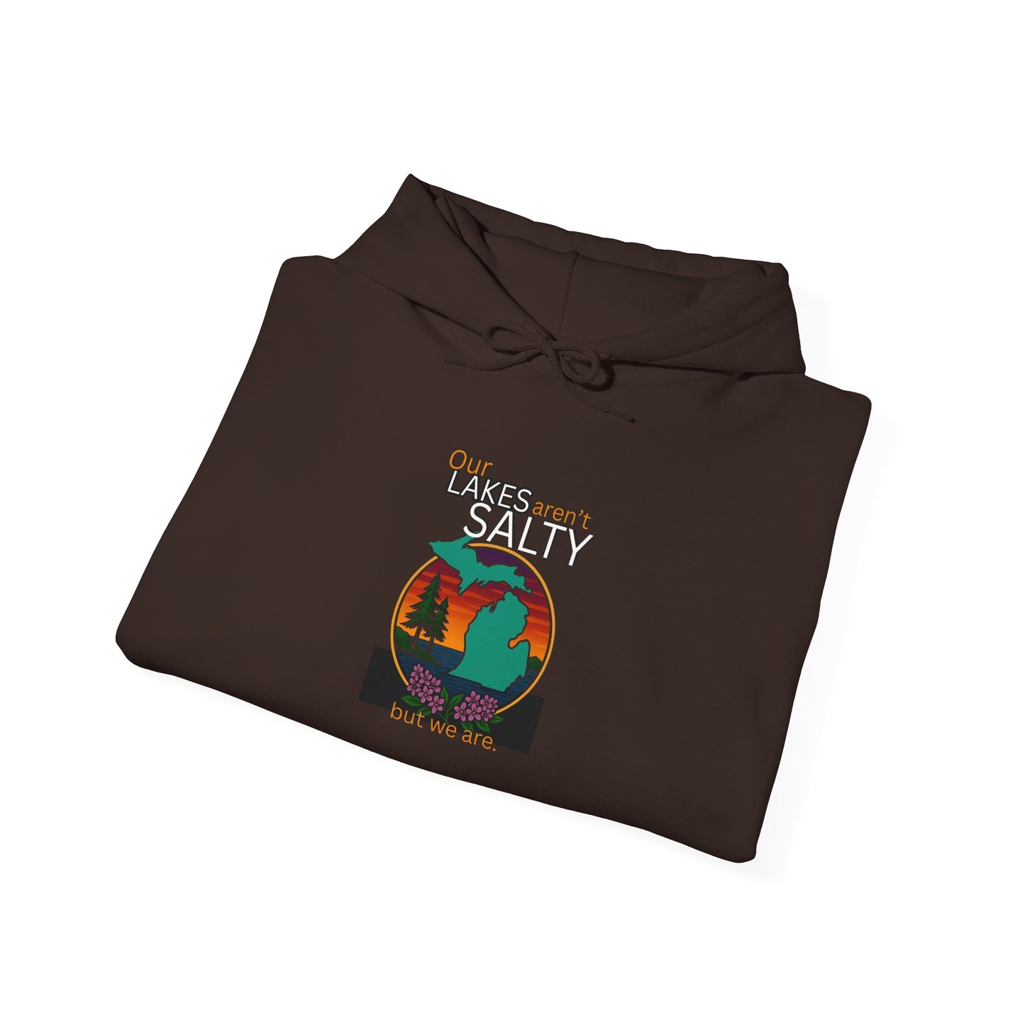 Our Lakes arent Salty But We are - Michigan Great Lakes hoodie