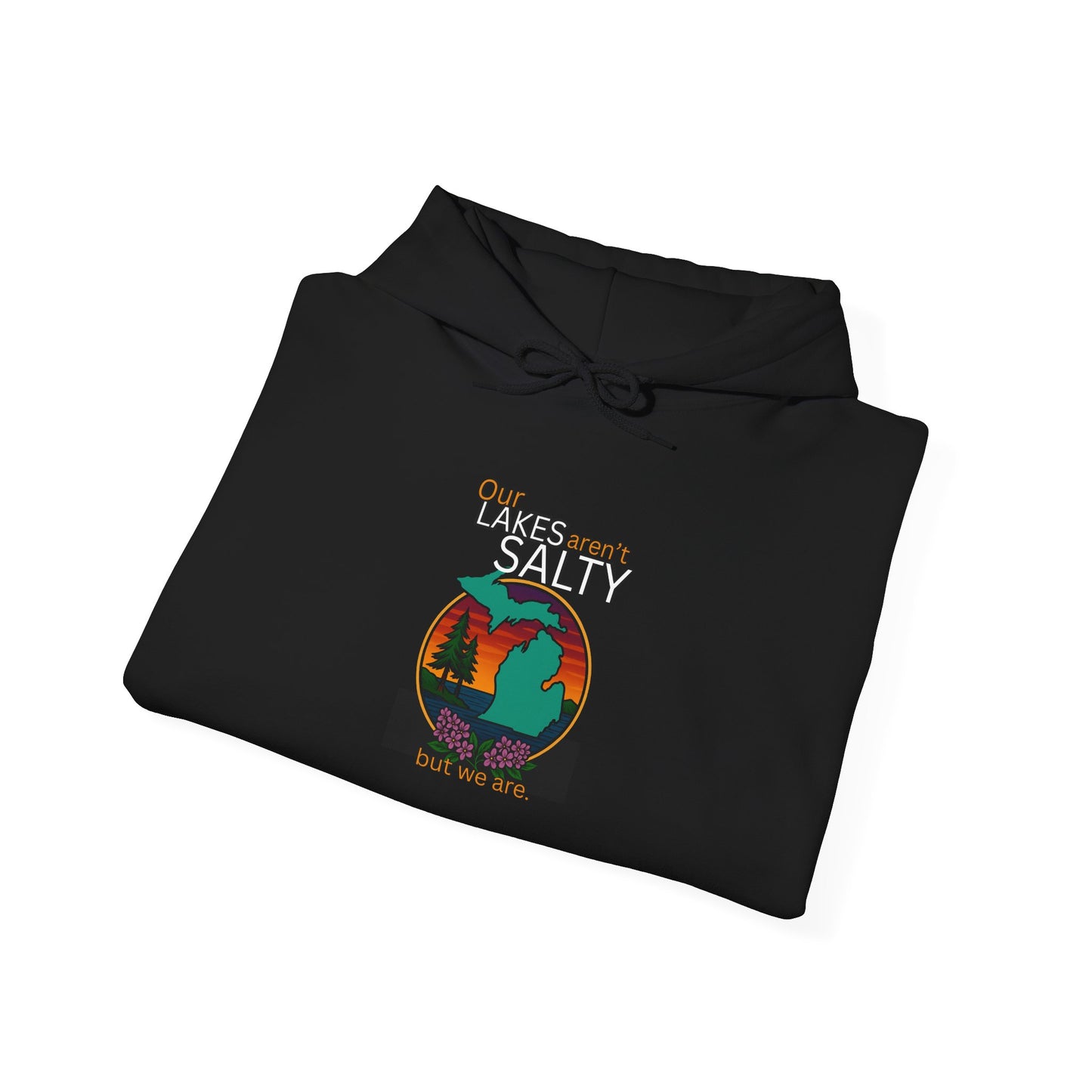 Our Lakes arent Salty But We are - Michigan Great Lakes hoodie