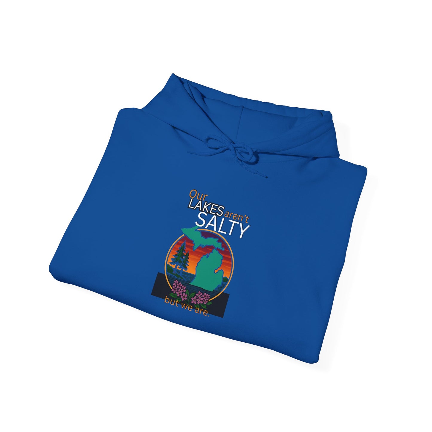Our Lakes arent Salty But We are - Michigan Great Lakes hoodie