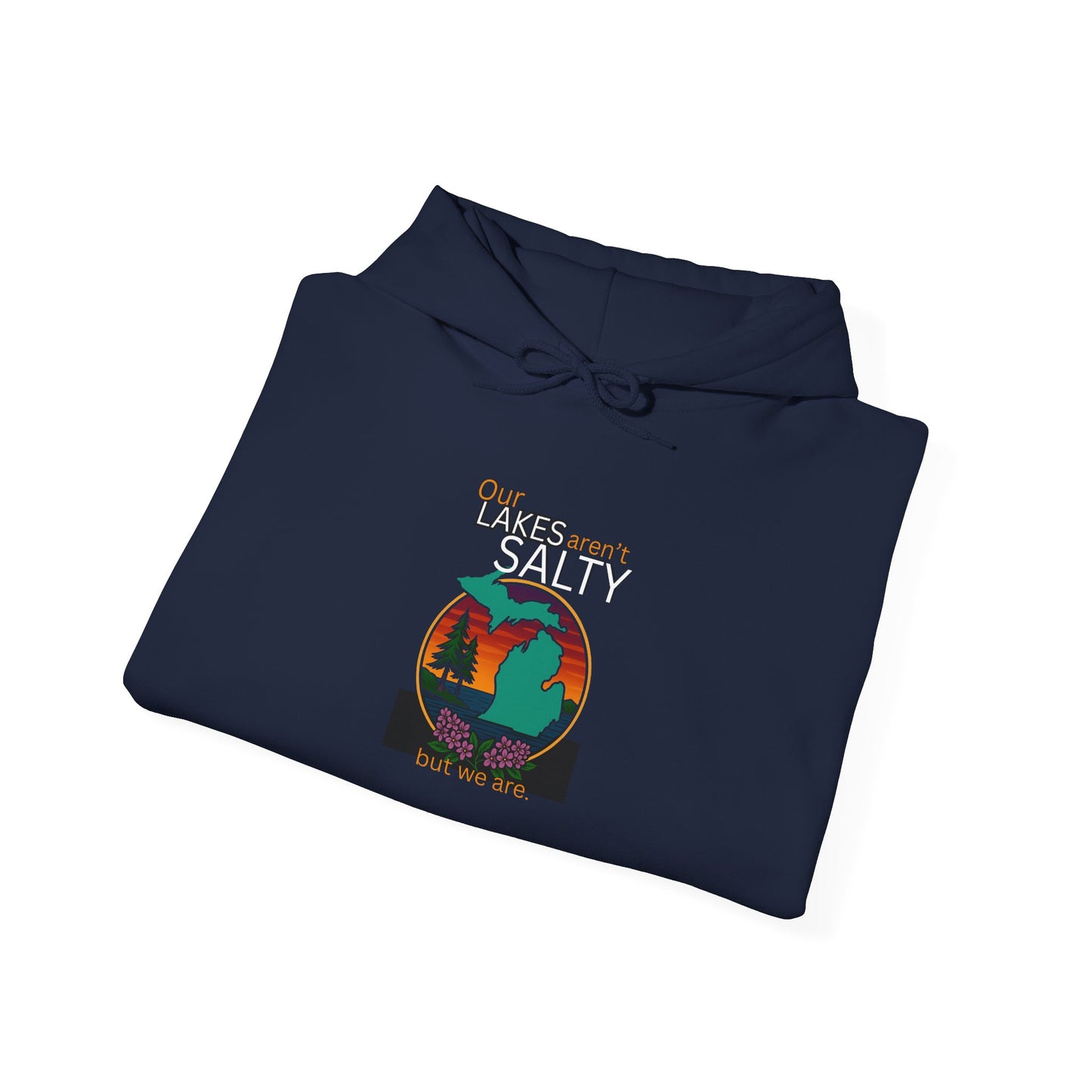 Our Lakes arent Salty But We are - Michigan Great Lakes hoodie