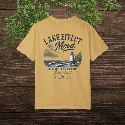 Lake Effect Michigan T-Shirt — Sarcastic Moody Tee for Great Lakes Fans