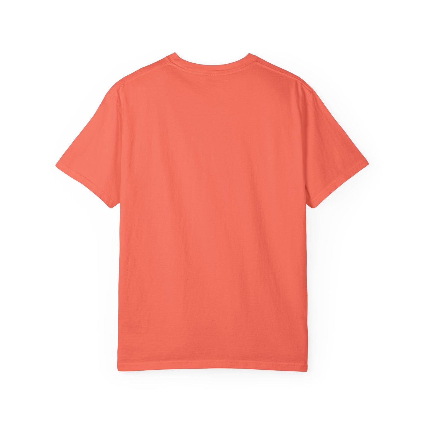 Vintage NotorieTEES Logo T-shirt | Bella Canvas garment-dyed style